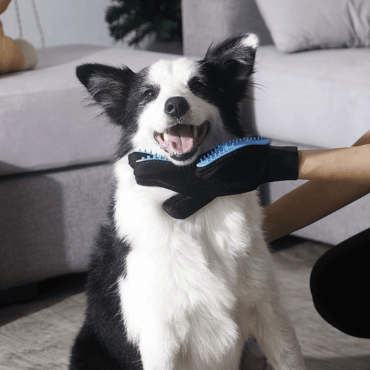 furFRESH™ Deshedding Glove