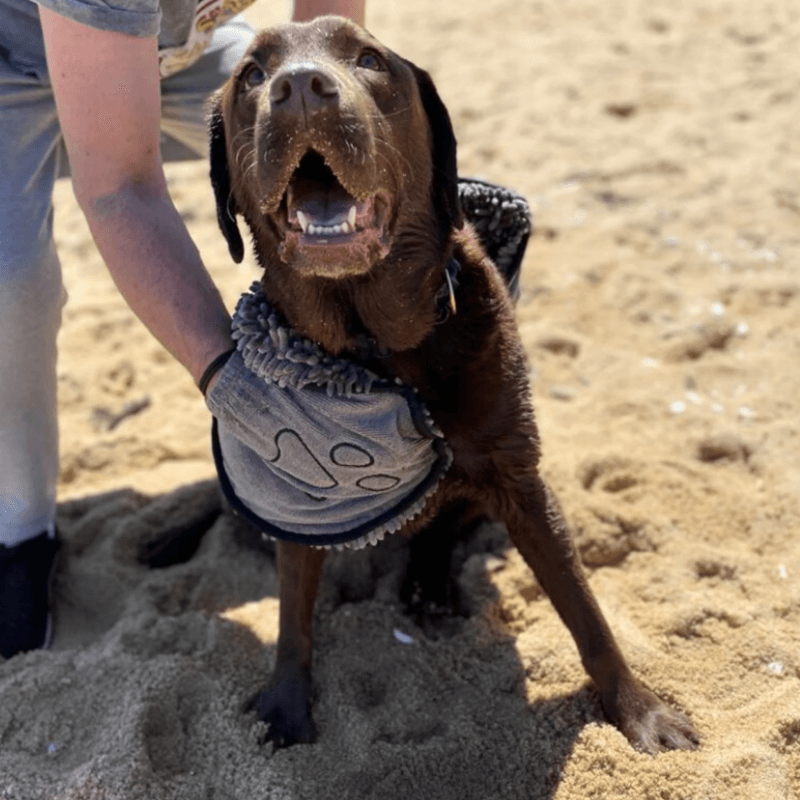 furFRESH™ QuickDry Towel