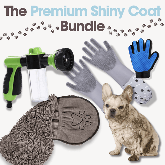 The Premium Shiny Coat Bundle